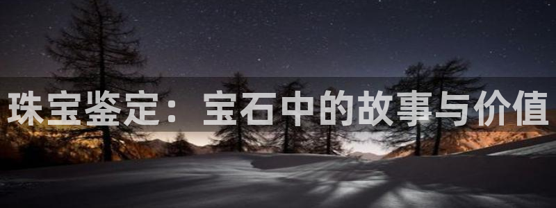 新航娱乐公司艺人