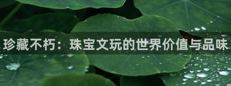 新航娱乐管理有限公司