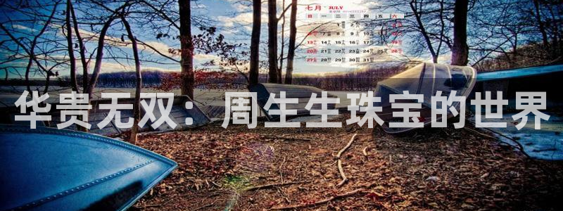 娱乐新航线