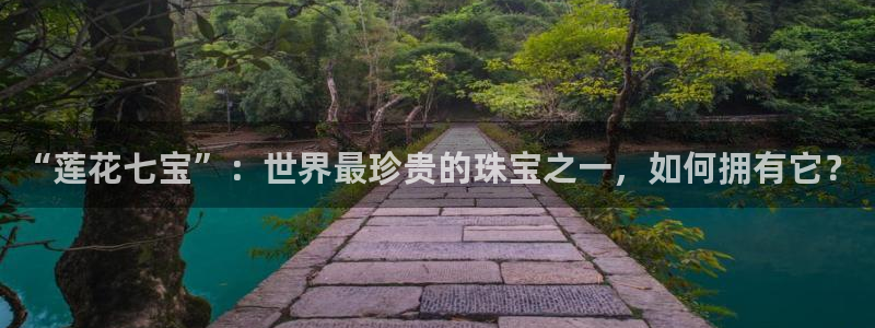 新航娱乐app下载安装
