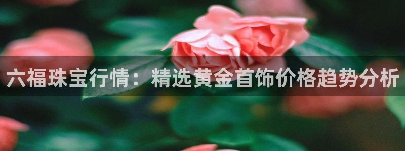 新航娱乐最新产品发布