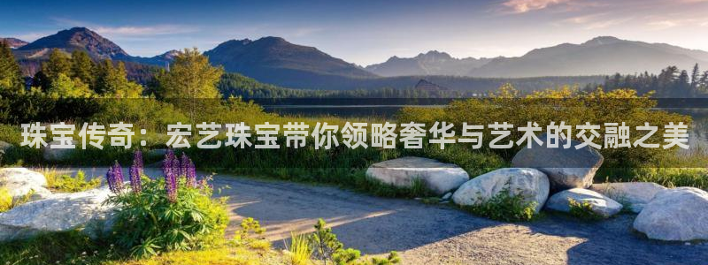 新航娱乐的创始人背景