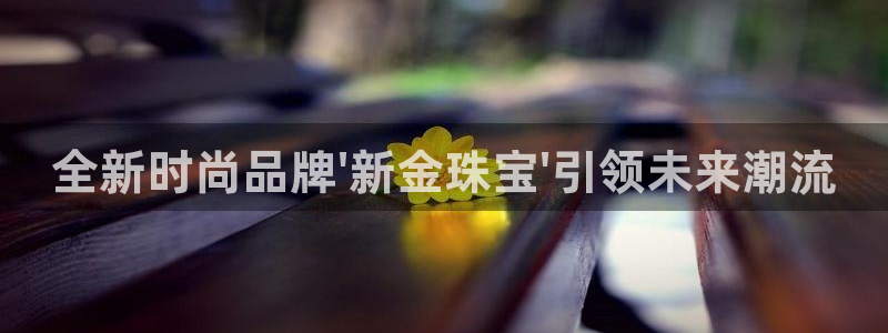 新航娱乐公司怎么样知乎