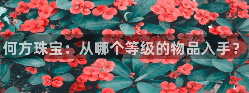 新航海娱乐会所电话地址