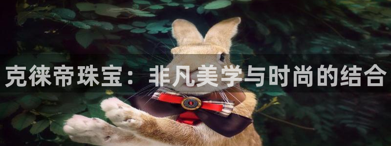 新航娱乐公司问题解决