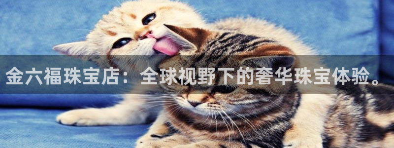 新航海娱乐会所地址查询