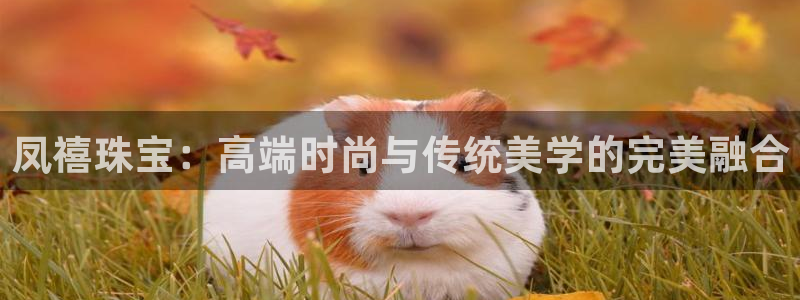 新航娱乐是干嘛的