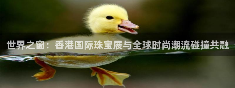 新航线娱乐