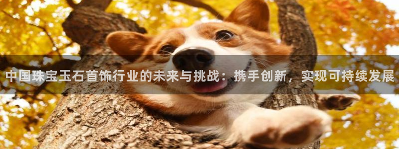 阜新航空娱乐