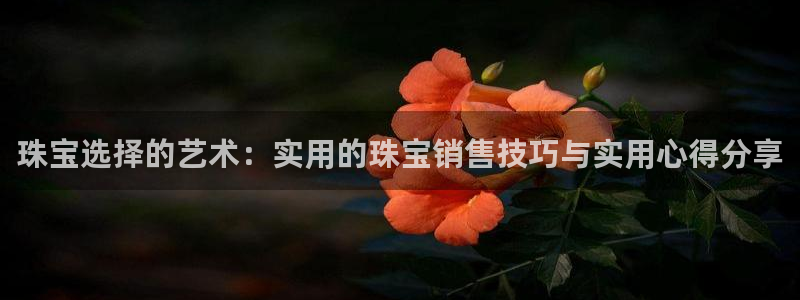 新航海大酒店娱乐城