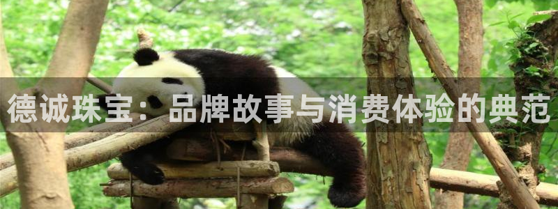 新航城娱乐传媒有限公司