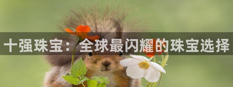 新航娱乐平台