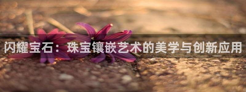 新航娱乐公司招聘电话