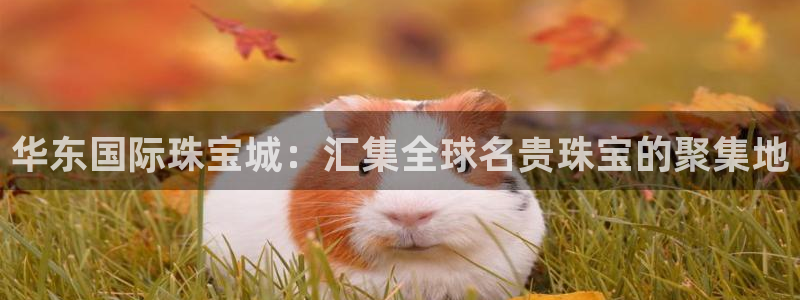 中国新航娱乐平台官网