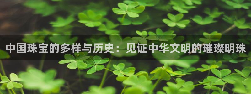 新航娱乐公司地址查询