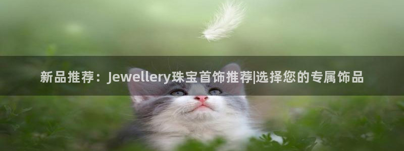 新航娱乐公司地址电话