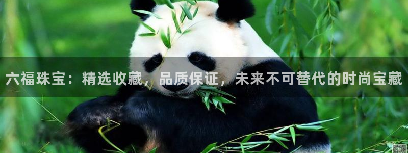 新航娱乐公司简介图片