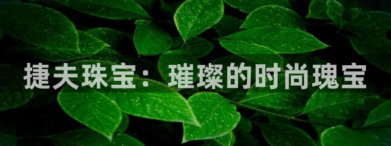 新航娱乐的创始人简介