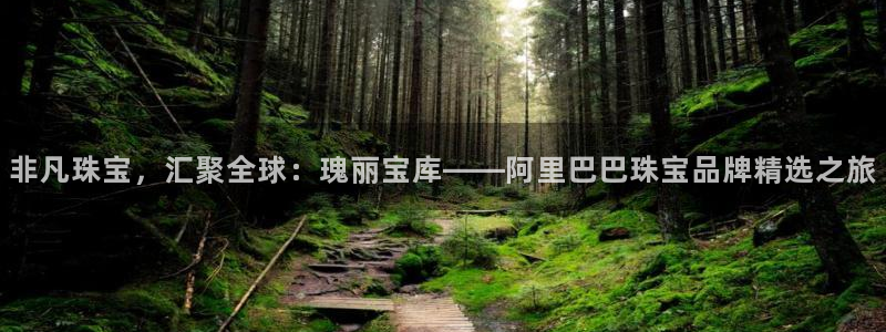 新航娱乐入网要求