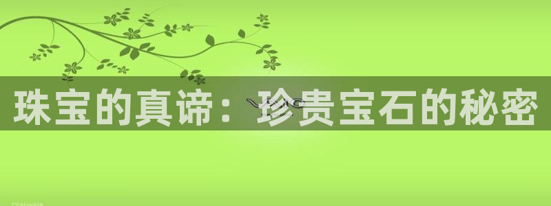 新航娱乐传媒怎么样