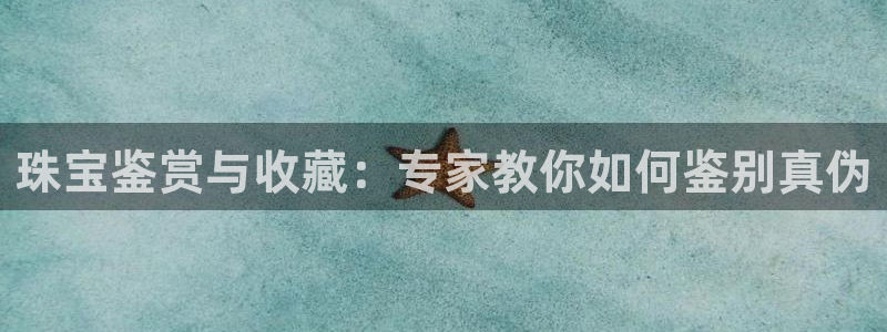 新航娱乐公司问题解决