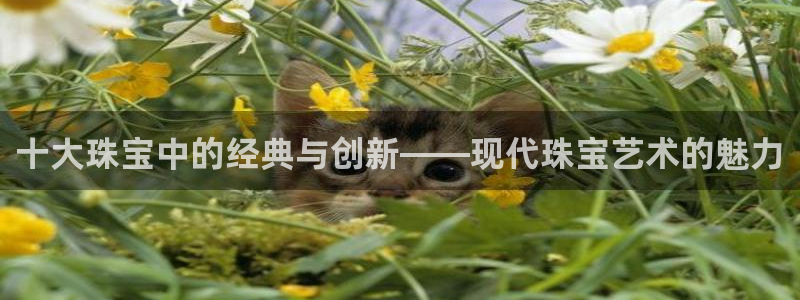 新航娱乐有限公司地址：十大珠宝中的经典与创新——现代珠宝艺术
