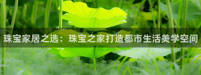 新航娱乐黑