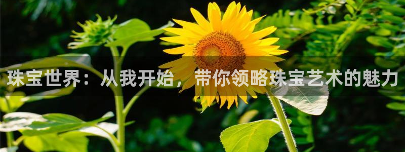 新航文化娱乐传媒招聘