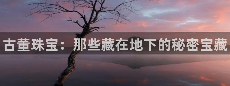 新航娱乐公司招聘信息网