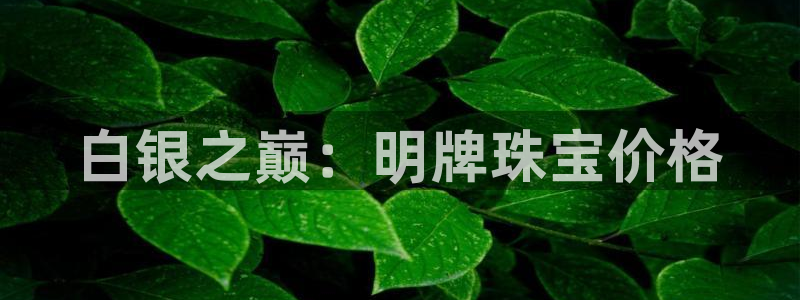 新航娱乐合法吗