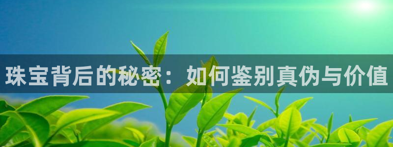 新航娱乐扣款