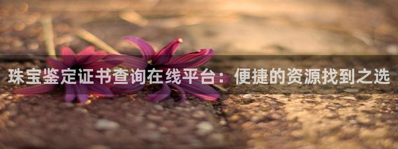 新航娱乐app下载