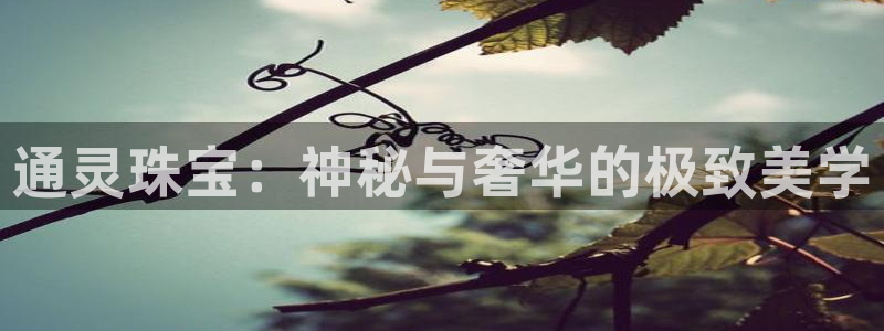 新航海娱乐会所怎么样