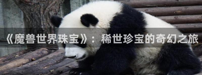 新航娱乐招商