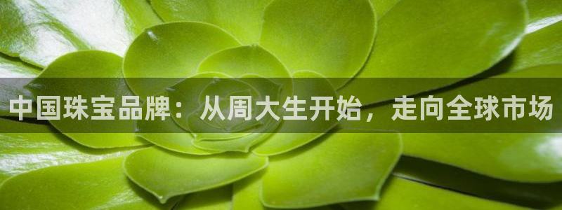 新航娱乐被投诉的原因