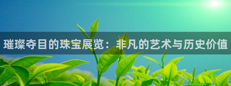 新航娱乐公司艺人