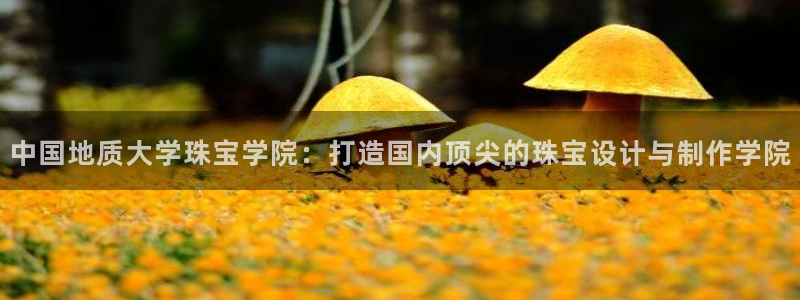 新航娱乐平台