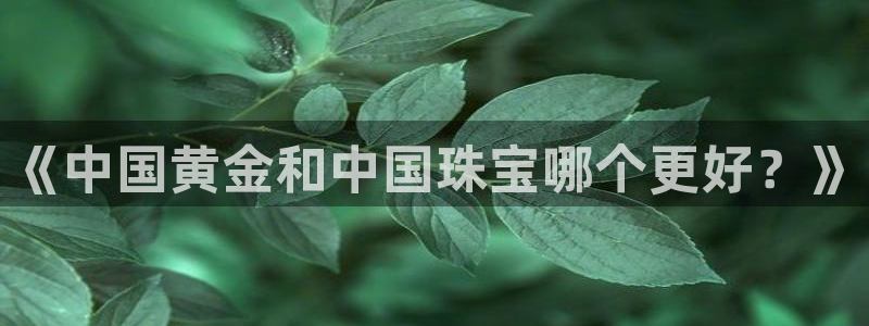金城娱乐新航母