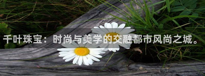 新航娱乐最新开户信息