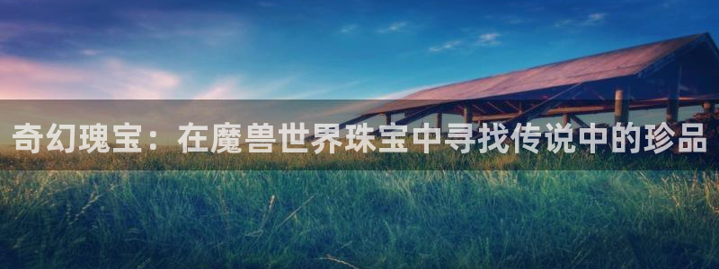 新航娱乐公司简介