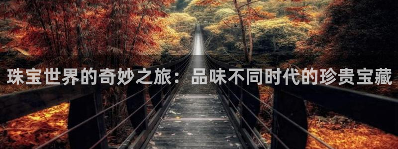 新航娱乐公司问题
