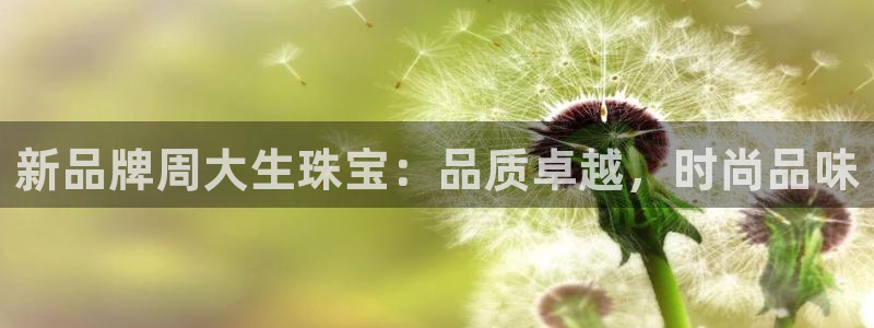 中国新航娱乐官网入口