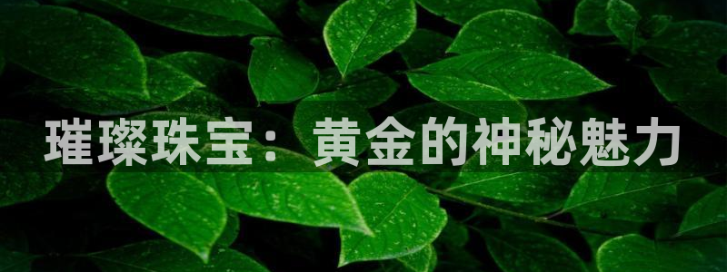 新航娱乐有限公司怎么样