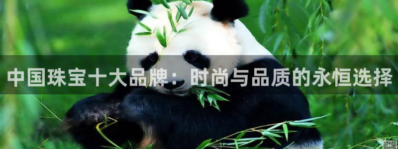 新航娱乐平台：中国珠宝十大品牌：时尚与品质的永恒选择