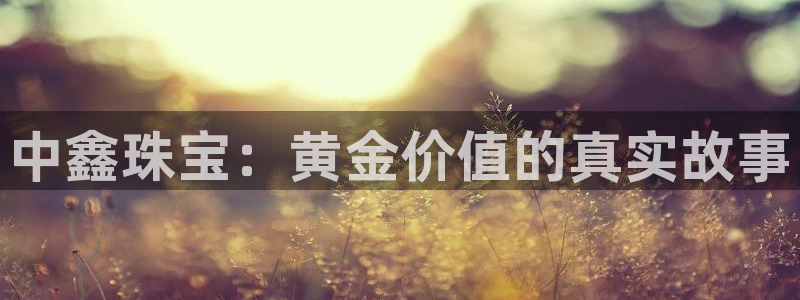 新航头等舱套房娱乐屏：中鑫珠宝：黄金价值的真实故事