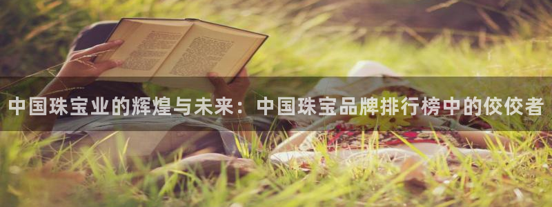 新航娱乐传媒怎么样知乎