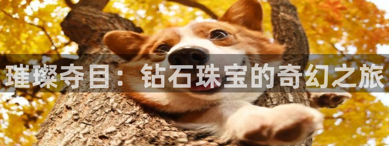娱乐界的新航母