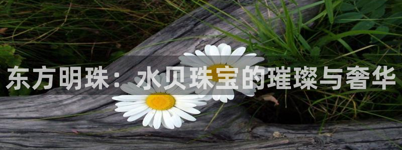 新航线娱乐：东方明珠：水贝珠宝的璀璨与奢华
