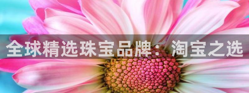 新航娱乐公司问题分析：全球精选珠宝品牌：淘宝之选