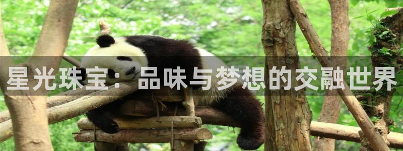 金城娱乐新航母